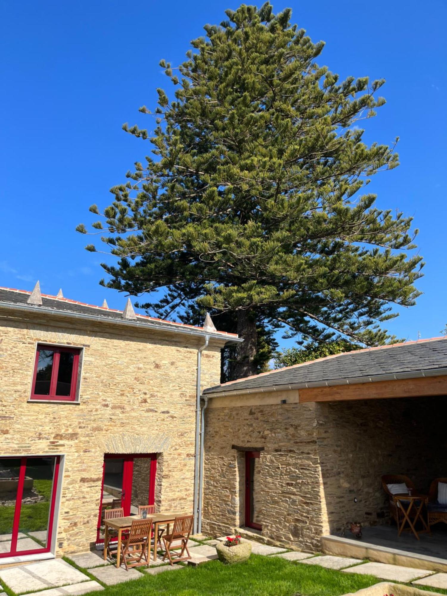 Araucaria House Guest House Barreiros Luaran gambar