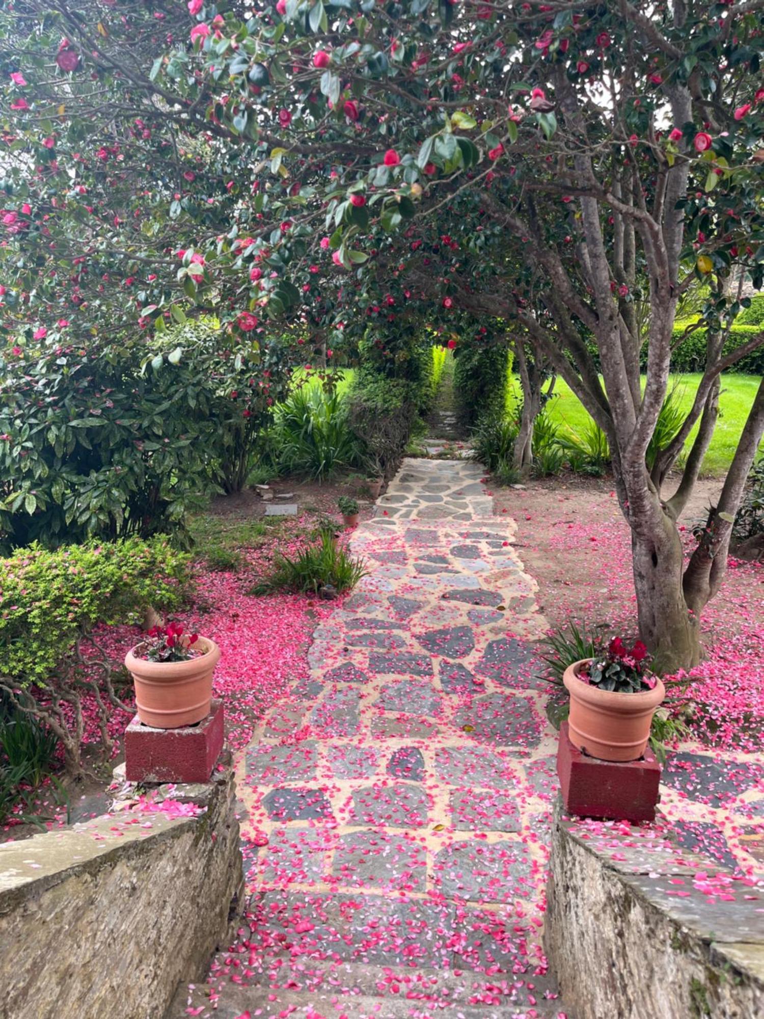 Araucaria House Guest House Barreiros Luaran gambar